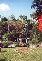 2001 - Australie B (29)